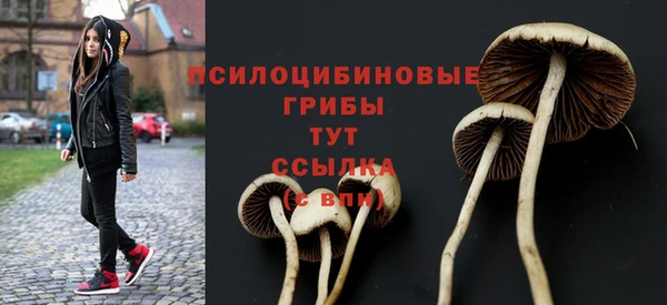 индика Абаза