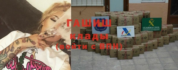 индика Абаза