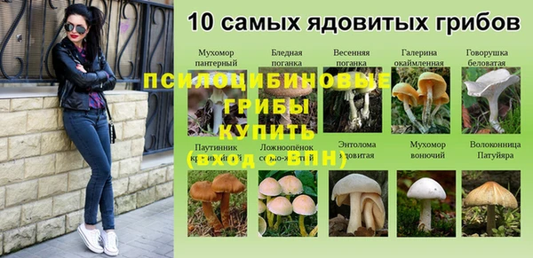 амфетамин Алексин