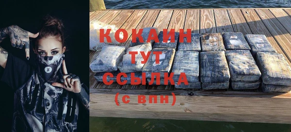 индика Абаза