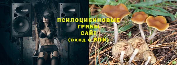 эйфоретик Алзамай