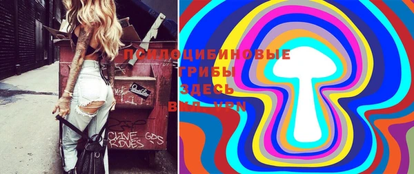 прущие крисы Алексеевка